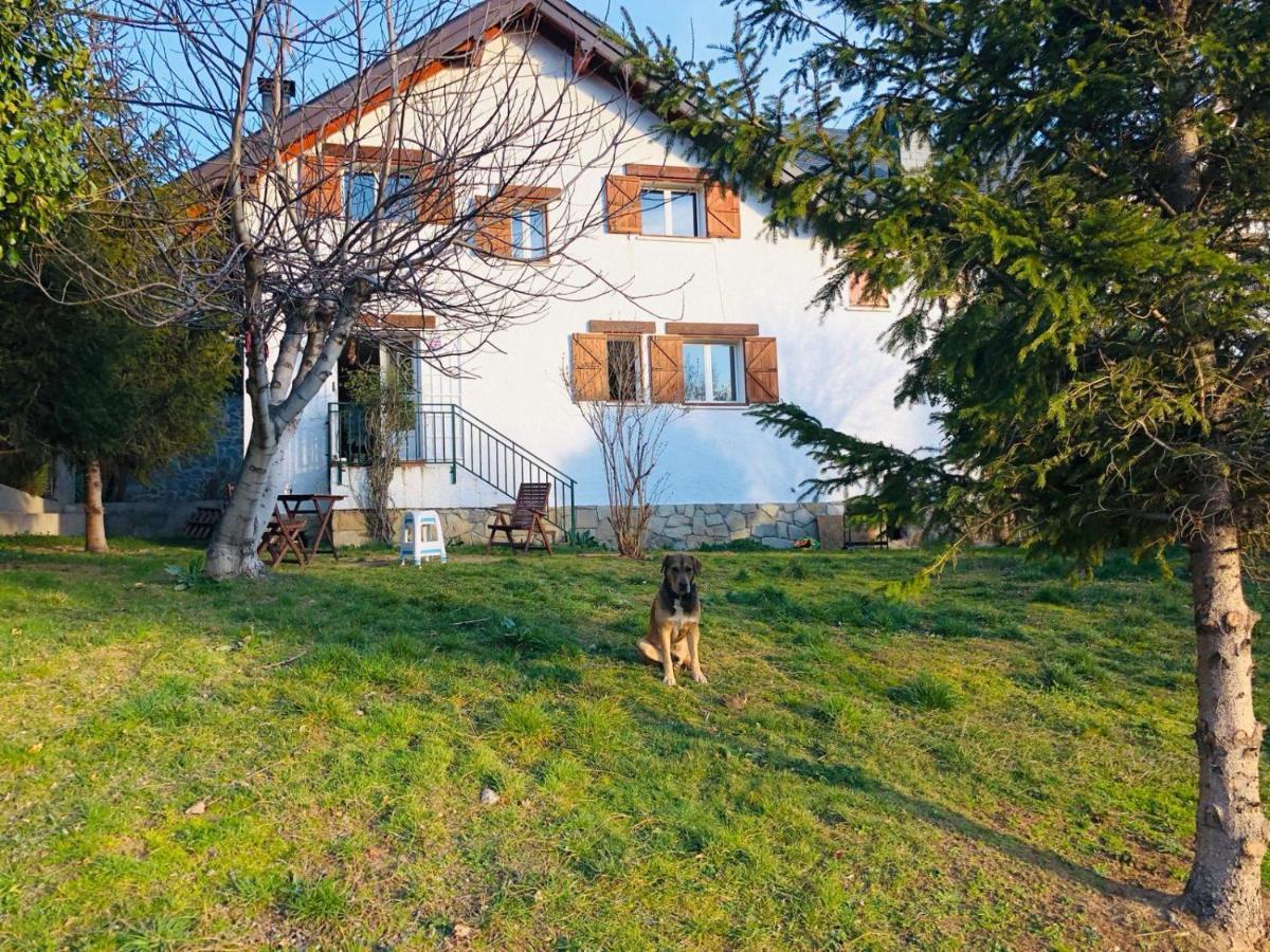 Casa Con Jardin, 4 Habitaciones Y Mucho Encanto En Cercedilla Eksteriør bilde